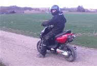 Min Vilde bws