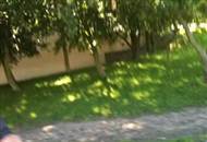 Sc