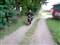 Yamaha Jog Ts Lc