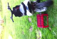 Jog R DD Kold Opstart -Uden indstilling-